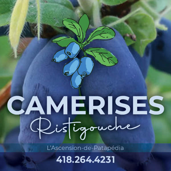 Camerises Ristigouche